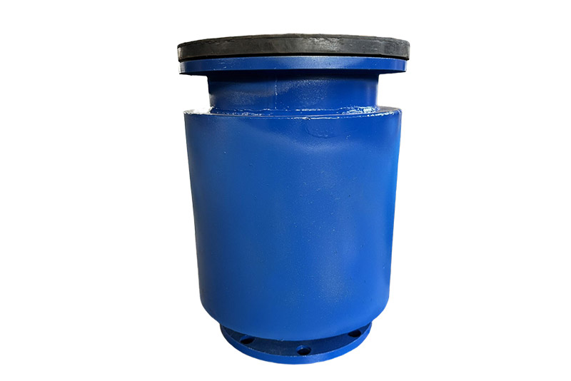 Dual-Flange Built-In Duckbill Valve