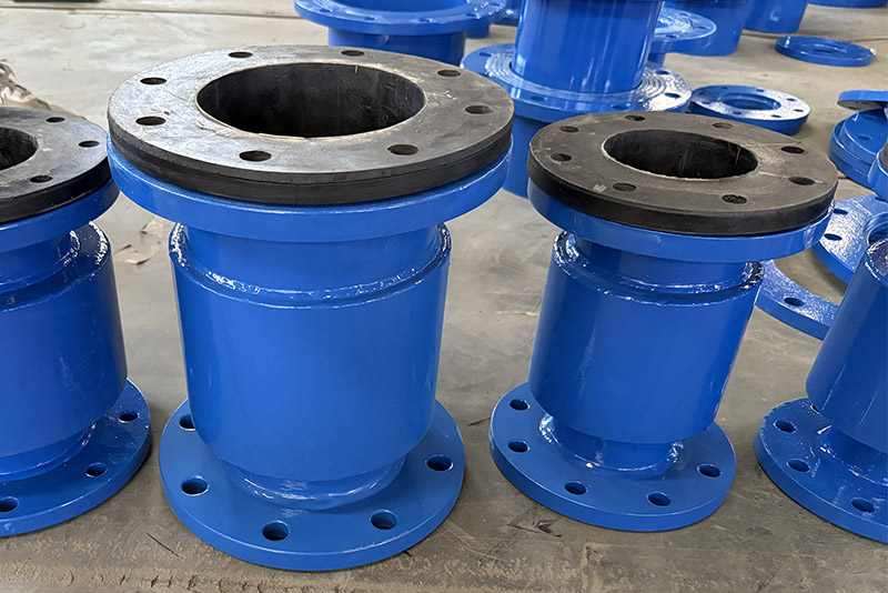Dual-Flange Built-In Duckbill Valve