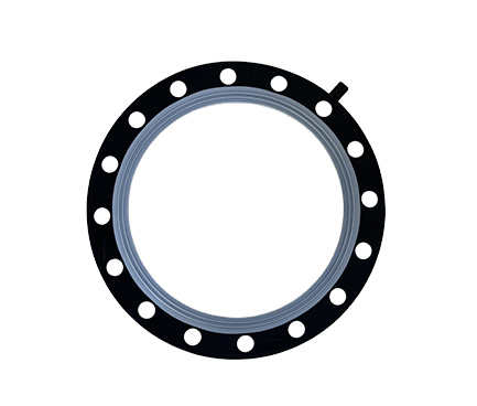 PTFE Rubber Gasket