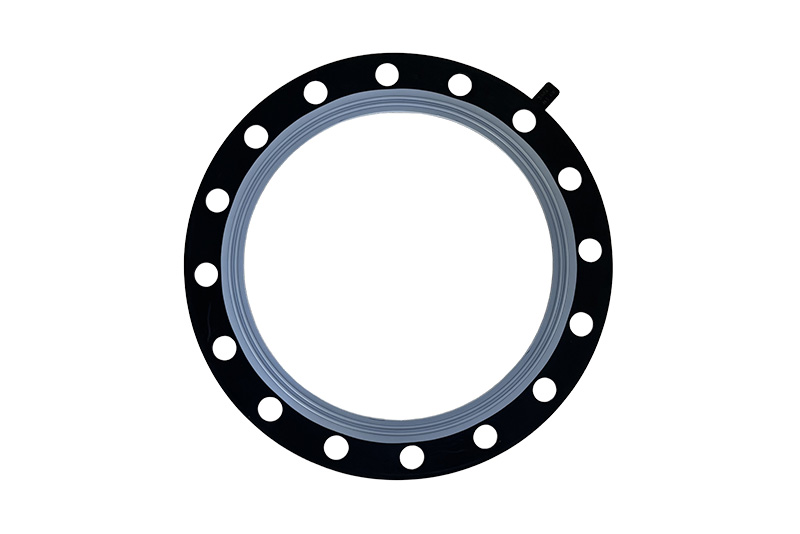PTFE Rubber Gasket